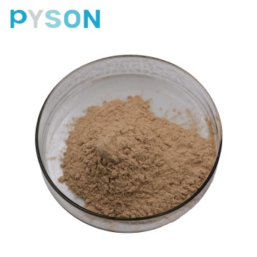 Anti Oxidant Chlorogenic Acid powder