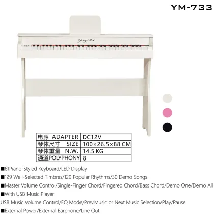 61 Key Electronic Organ Piano Keyboard