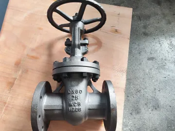 DN80 PN25 WCB Gate Valve