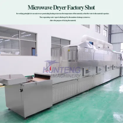 Woodworm Microwave Dryer for Seafood and Sea Fish Dehydration Machine