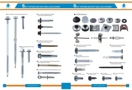 china fastener group phillips drywal screw,factory stainless steel self drilling screw