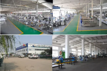 Snacks Food Extruder Single Screw Extruder