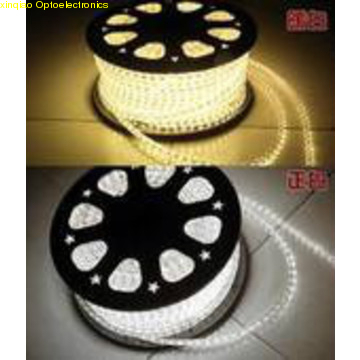 5050SMD cool white 220V strip light