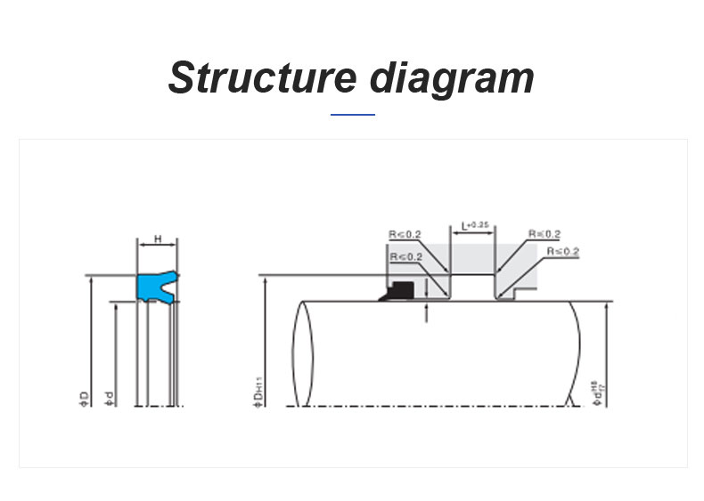 Bs Ring Sealing