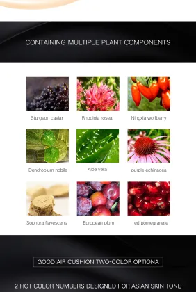 NEW Makeup Air Cushion foundation And pressed powder 2 in 1 BB CC Cream