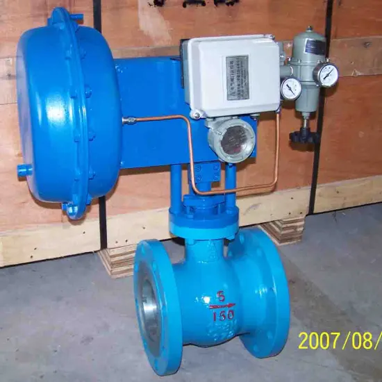 Cam flex valve