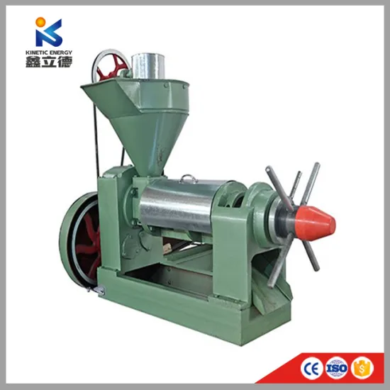 2018 New Pumpkin Seed Oil Making Machine Hazelnut Oil Press Machine