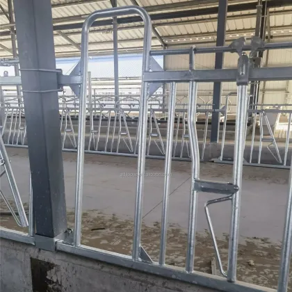 Hot Sell Cow Headlock Auto Release Cattle Stall Gate for Dairy and Beef Farms
