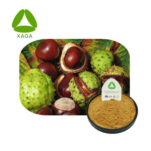 Paard Chestnut Extract Escin 5% Poeder CAS 6805-41-0