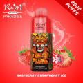 Meilleur kit de vape jetable R&amp;M Paradise 8000