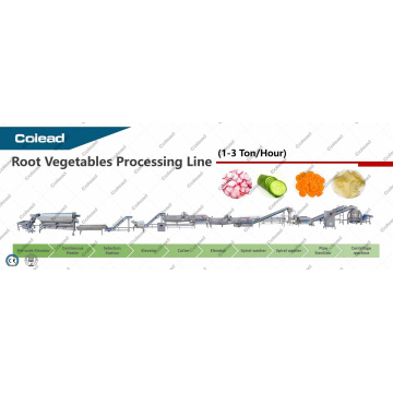 Root vegetable cleaning line for food processing