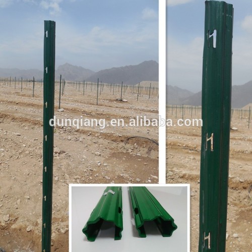 grape stakes vineyard orchard post galvanized vineyard pole