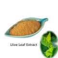 Pharmaceutical Active Ingredient Llive Leaf Extract powder