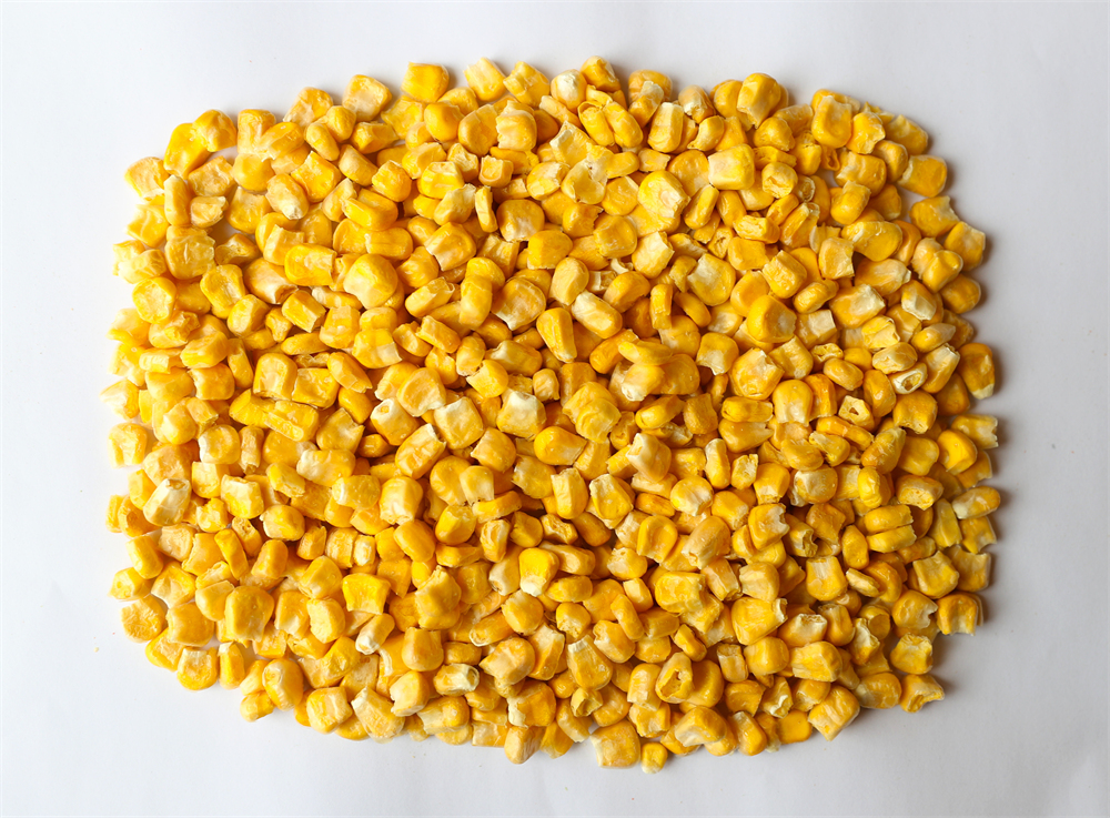 import frozen sweet corn