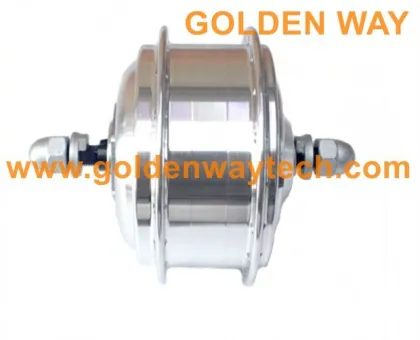golden way motors for electric bike, electric bike motors