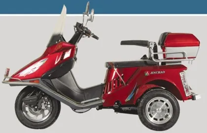 Electric Elderly / Disabled Handicapped Scooters With 1p39fmb Engine