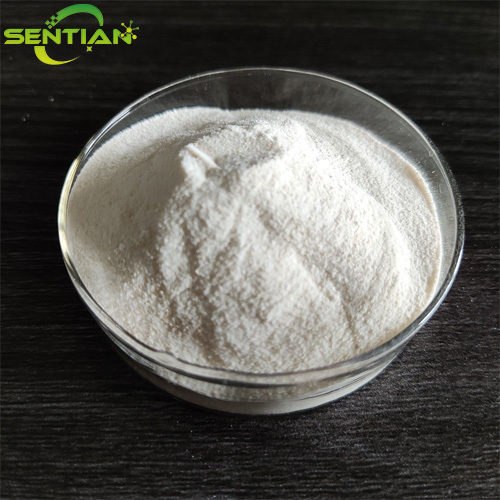 High-Quality Kluyveromyces Rennet