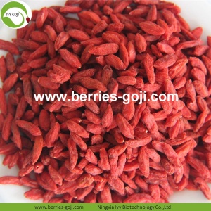 Perder peso Nutrición de frutas Natural Himalayan Goji