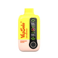 Vapsolo DG 18000 Puffs Disposable Vape Spain Wholesale
