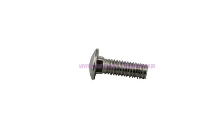 Stainless Steel Coach/Carriage Bolt
