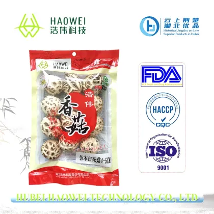 DRIED MUSHROOM
