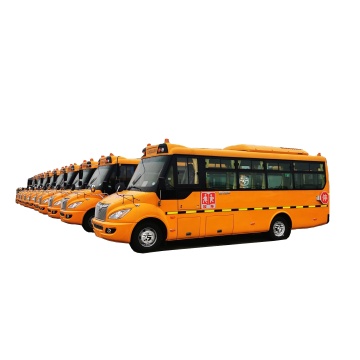 Affordable Used School Buses for Sale: Custom Models, 24-42 Seats, Dongfeng Brand from Hubei, Japan Wholesalers