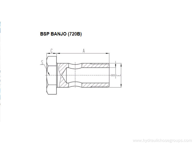 BSP Banjo Fittings 720B