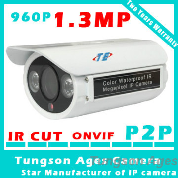 ONVIF H.264 P2P Ultra Low-lux 1.3 Megapixel IP Camera  Support POE