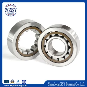 Chrome Steel Auto Nup 307 China Supplier Cylindrical Roller Bearing