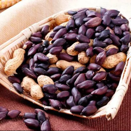 High Protein Black Spanish Peanuts For American