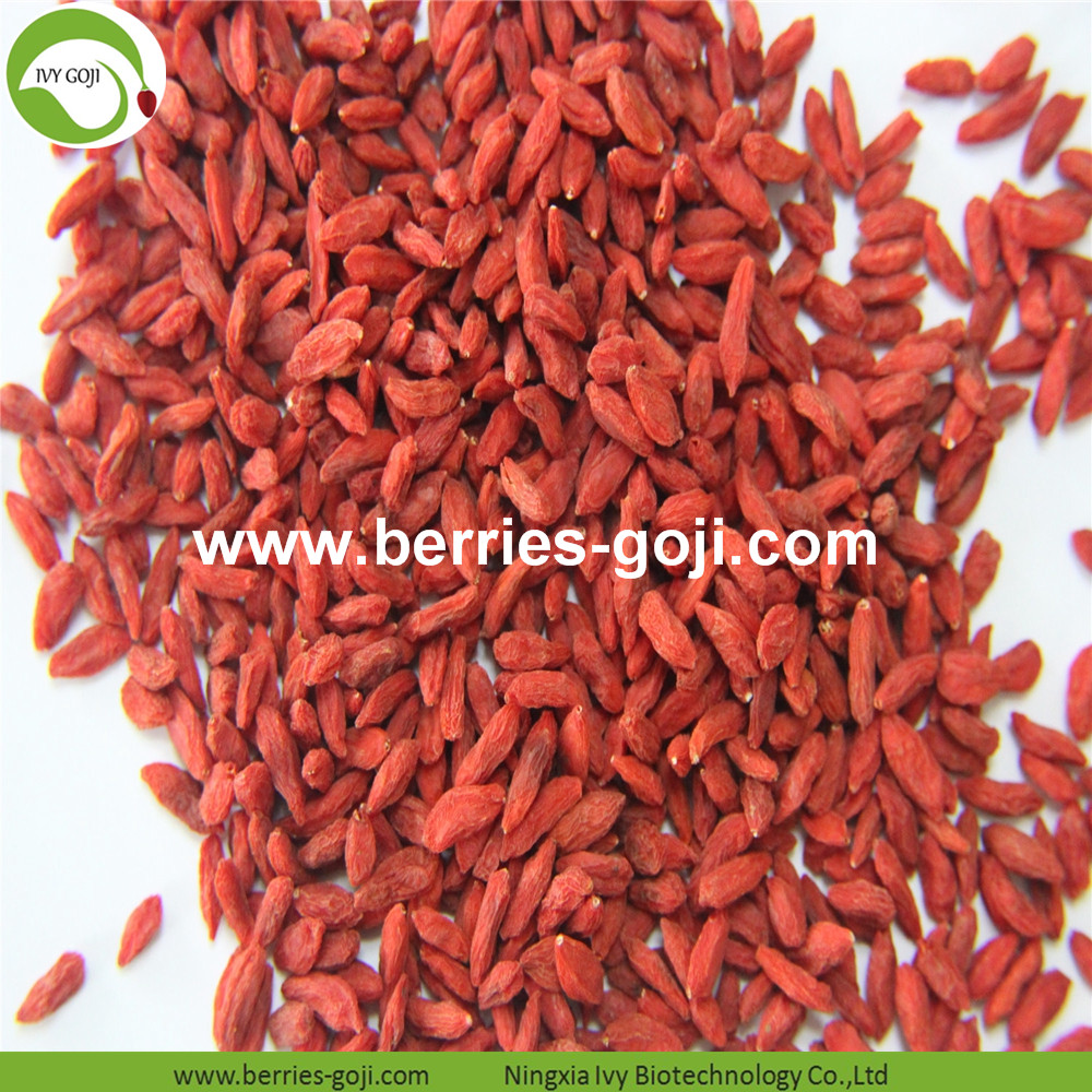 Goji berry