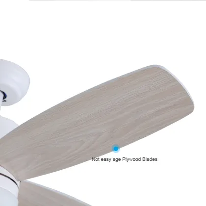 ESC Lighting energy saving designer ceiling fan