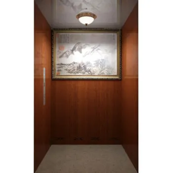 Climb villa elevator