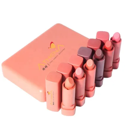 Cosmetics Makeup Vendor Waterproof Matte Lipstick