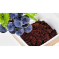 Premium Grape Seed Extract for Antioxidant Support and Wellness