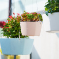 Planta verde em vasos suculentos de flores criativas suculentas