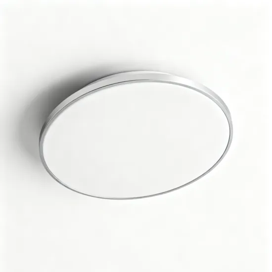 Ceiling Light for Hotel Room