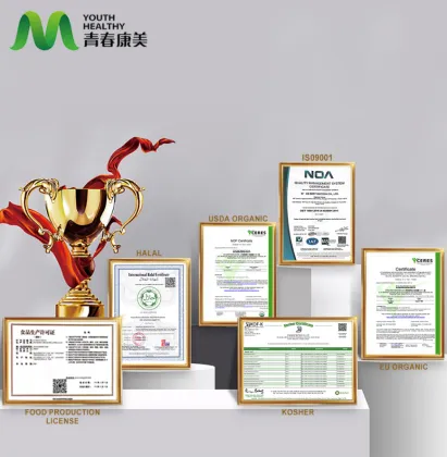 Blackcurrant Extract for Antioxidant Benefits