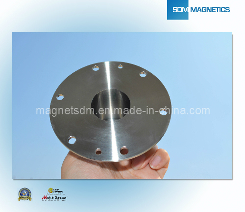 ISO/Ts 16949 Certificated Motor Magnet