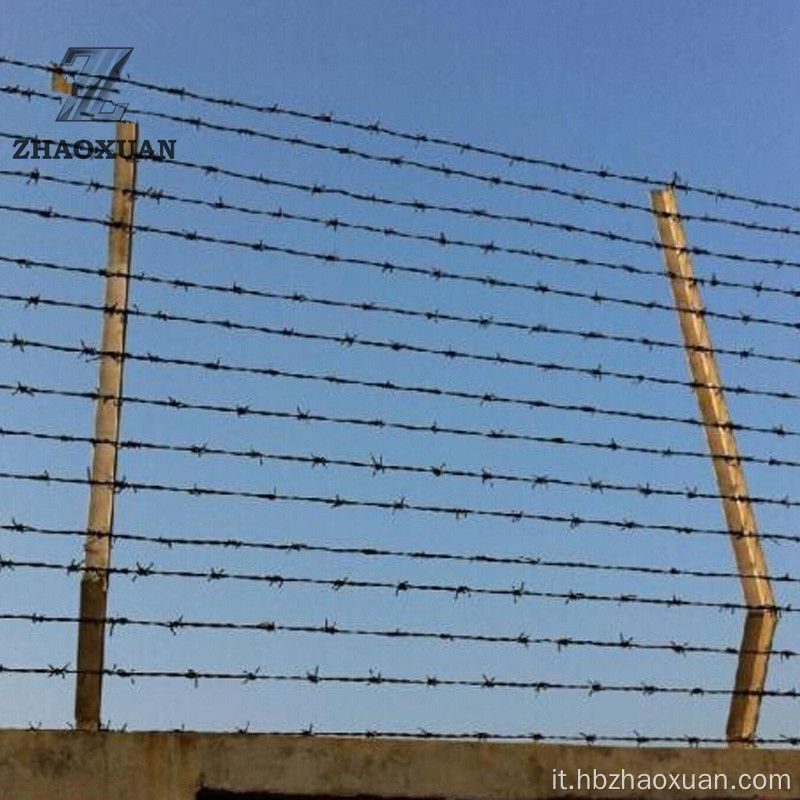 Sicurezza di avvertimento usata militare Galvanizzato Filo spinato