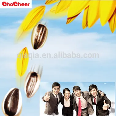 Sun flower seeds for sale