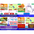 Extrait de canne alimentaire sain substitut substitut palatinose