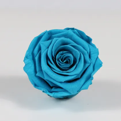 Kunming Freeze Dried Roses 4-5cm Flower Heads