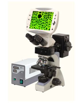 Digital Fluorescence LCD microscope DMS-853