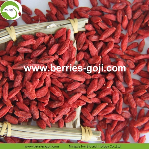 โรงงานผลิตผลไม้โภชนาการเพื่อสุขภาพ Goji Berries