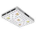 CXB 3590 COB-Lampe Volles Spektrum