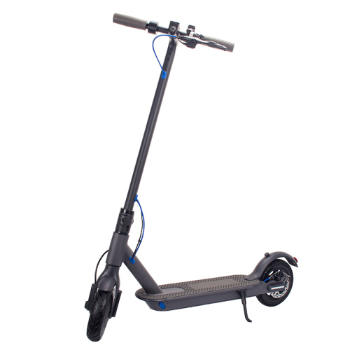 350w Powerful Motor Electric Adult Scooter