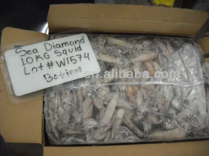 Sea Diamond California Squid