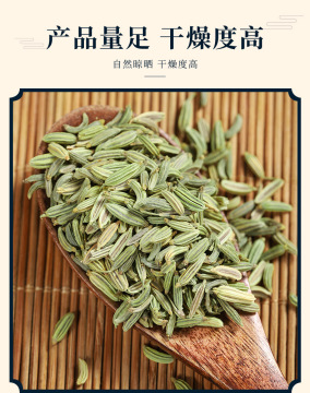 Última oferta de semillas de hinojo de Gansu