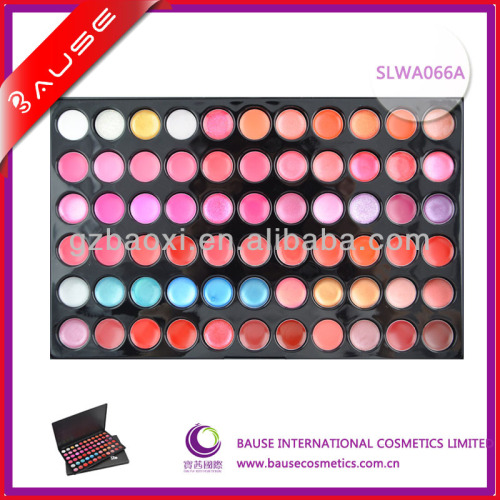 66 Color Functional Matte And Shinny Lip Gloss Palette, High Quality 66